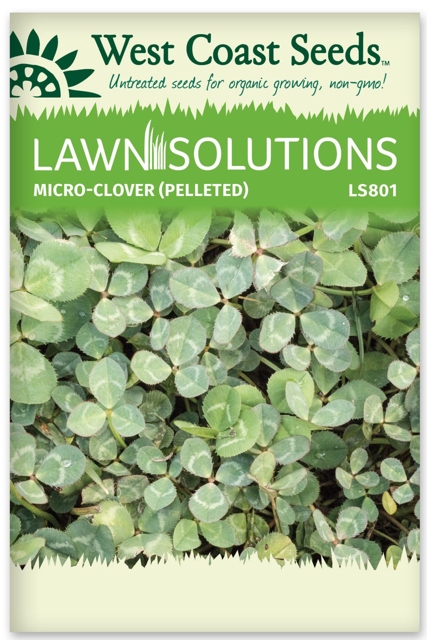 Micro Clover Seed 50g - West Coast Seeds