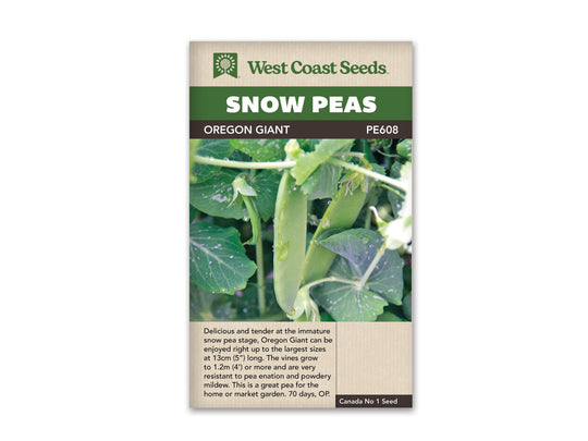 Pea Snow Oregon Giant - West Coast Seeds