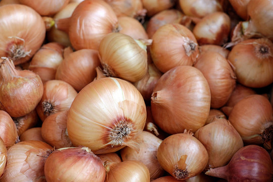 Onion - Spanish, 80 Pack