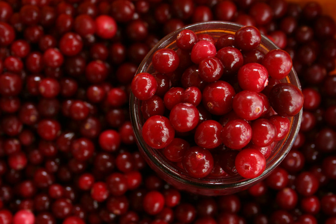 Cranberry - Pilgrim