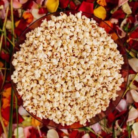 Corn Popcorn Robust - Ontario Seed Company
