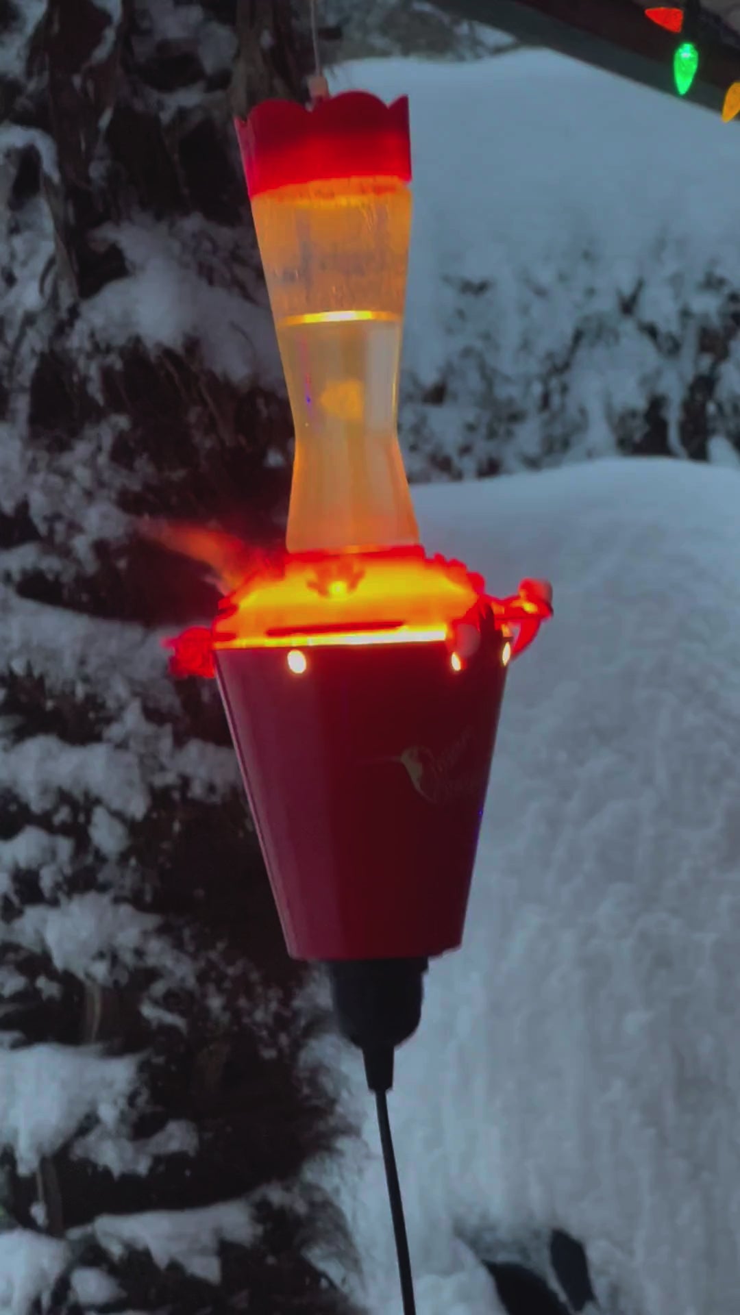 Warm Wings Hummingbird Heater