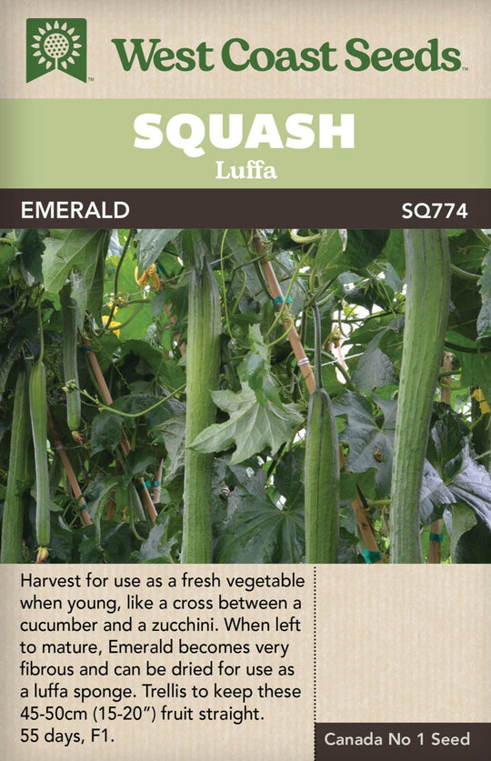 Squash Emerald Luffa - West Coast Seeds