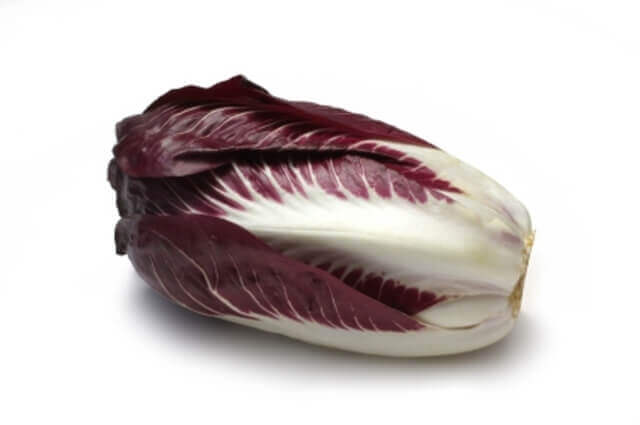 Radicchio Rossi Di Treviso - Ontario Seed Company