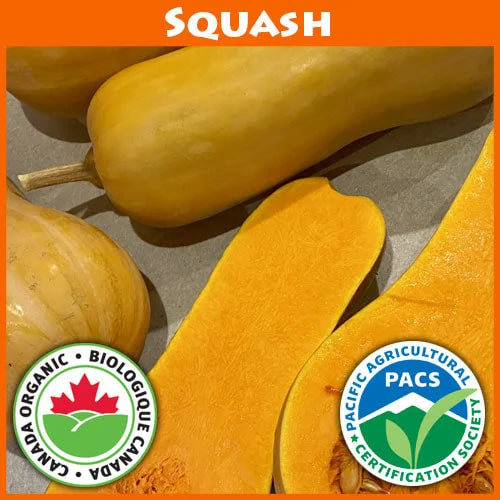 Butternut Squash Organic Sonca Orange - Good Earth Farms