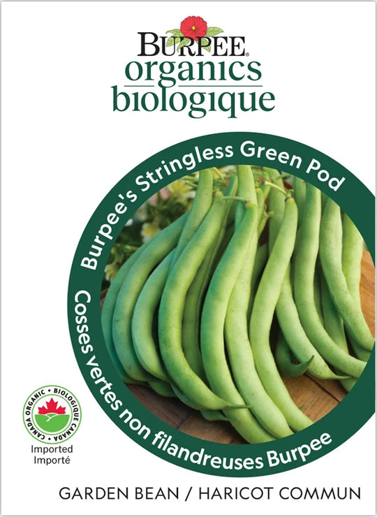 Organic Burpee's Stringless Green Pod - Burpee Seeds