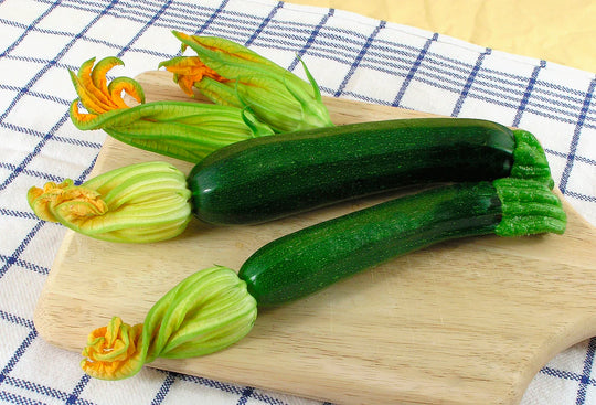 Zucchini Raven Twilight - Renee's Garden