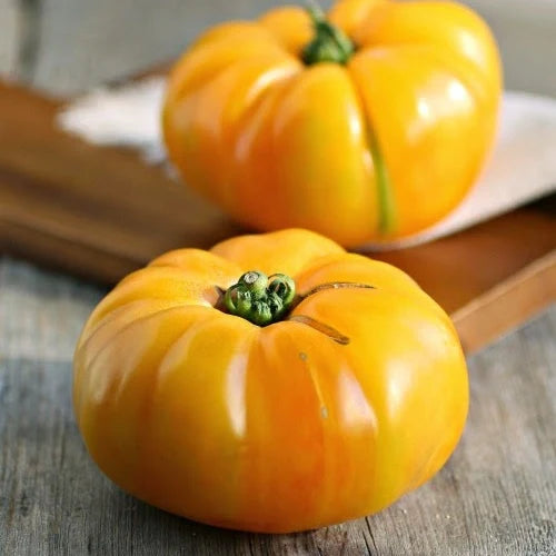 Tomato Maylor Roth's Orange Brandywine - Eagleridge Seeds