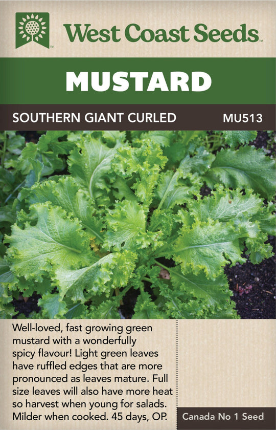 Mustard Southern Giant Curled - West Coast Seeds