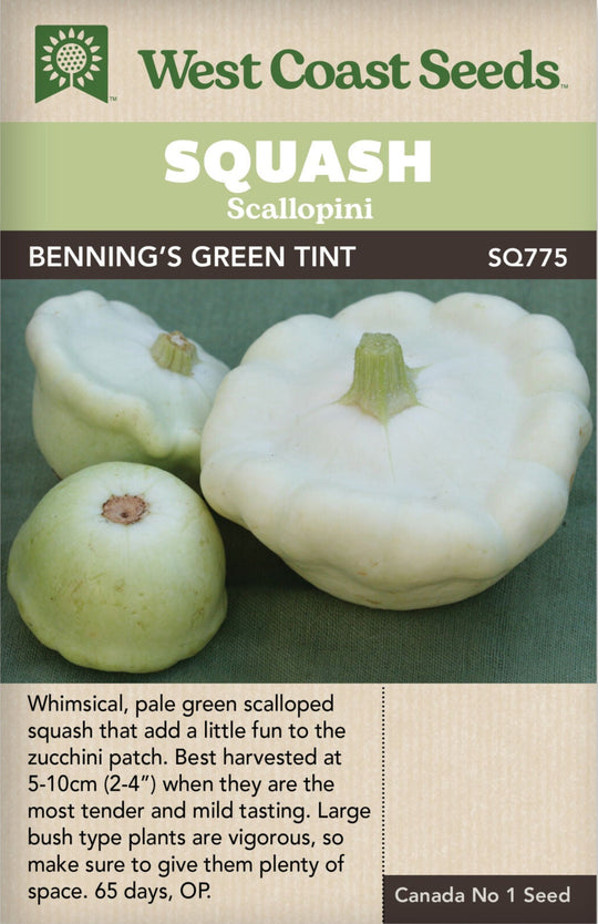 Squash Benning's Green Tint - West Coast Seeds