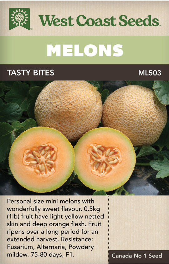 Melon Tasty Bites - West Coast Seeds