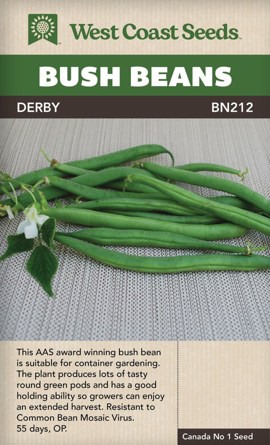 Bean Derby Bush - West Coast Seeds