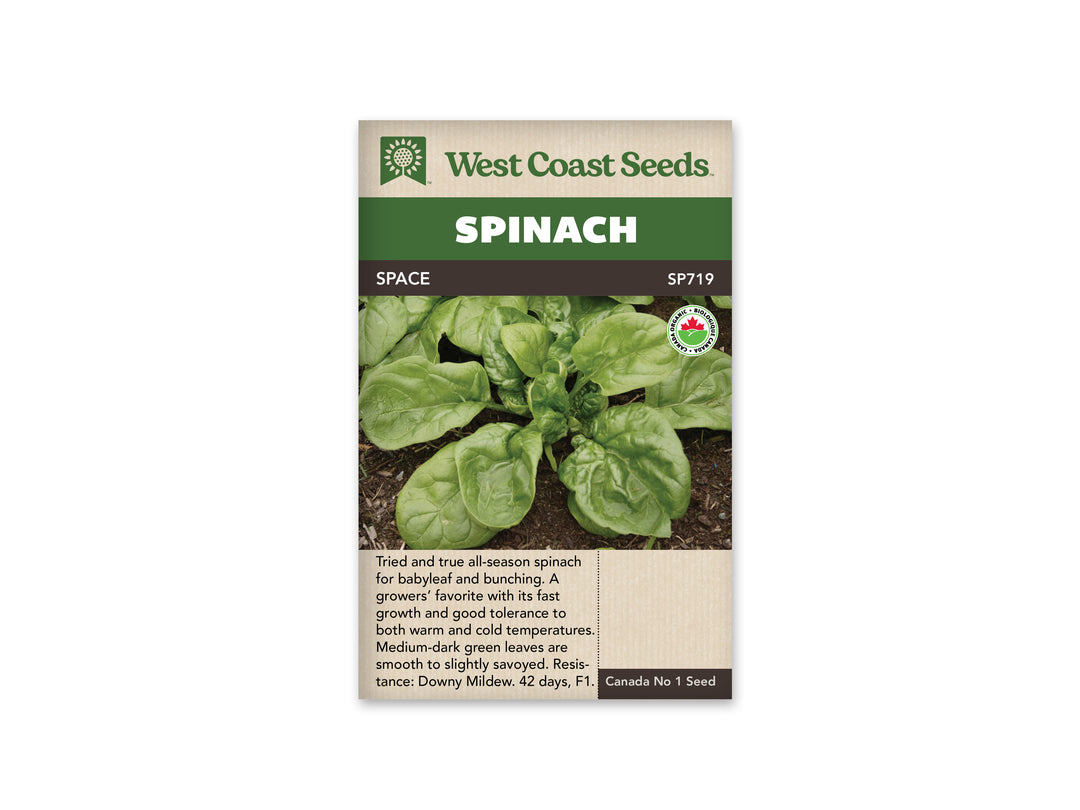 Spinach Space Organic - West Coast Seeds