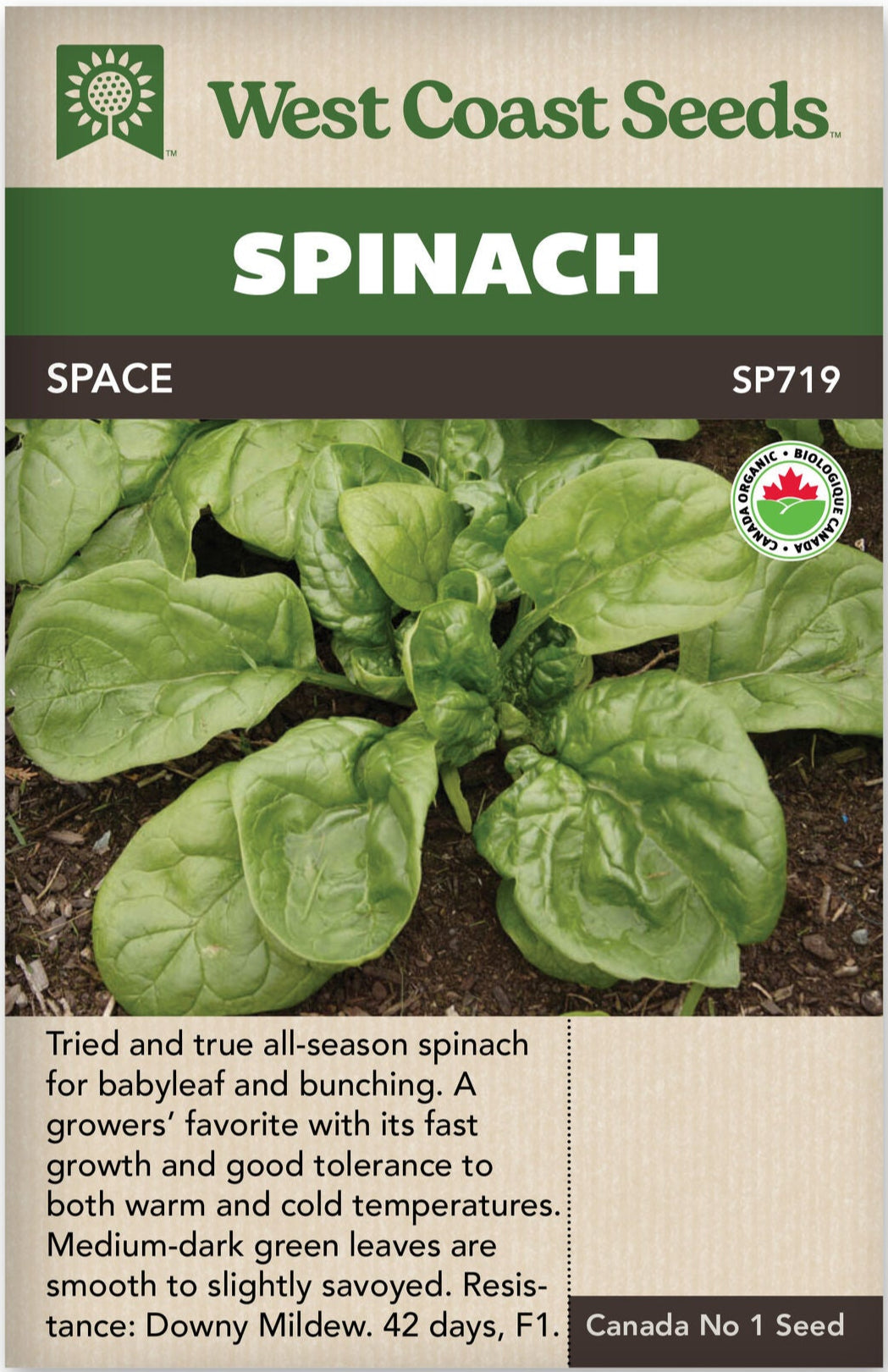 Organic Spinach Space - West Coast Seeds