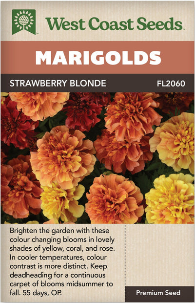 Marigold Strawberry Blonde - West Coast Seeds