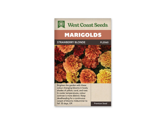 Marigold Strawberry Blonde - West Coast Seeds