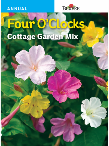 Four O'Clocks Cottage Garden Mix - Burpee Seeds