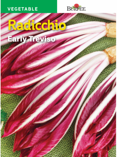 Radicchio Early Treviso - Burpee Seeds