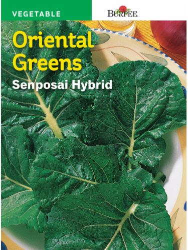 Greens Senposai Hybrid - Burpee Seeds