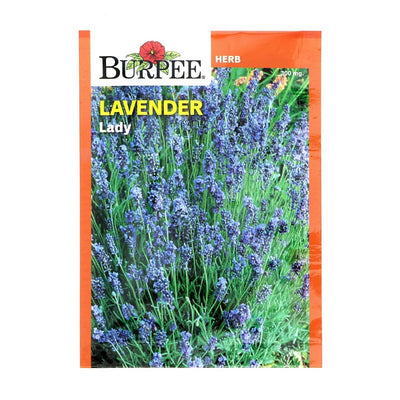 Lavender Lady - Burpee Seeds