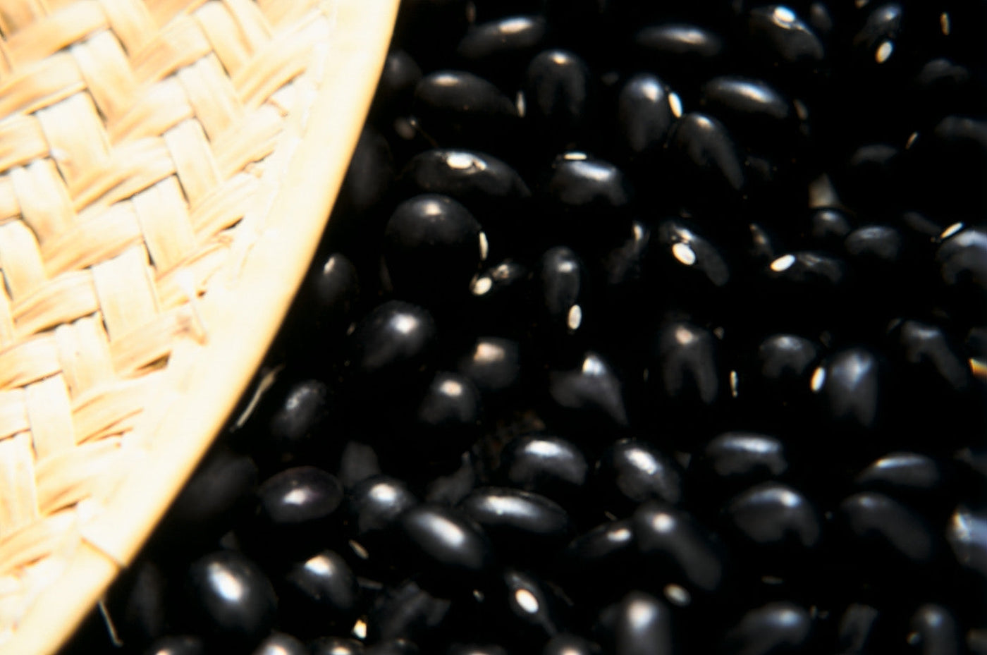 Bean Black Coco Dry Bush - Salt Spring Seeds