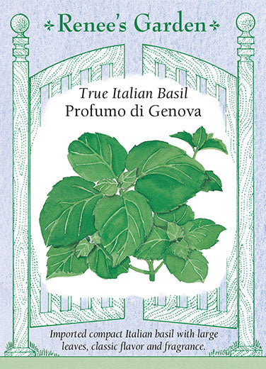 Basil Profumo di Genova - Renee's Garden