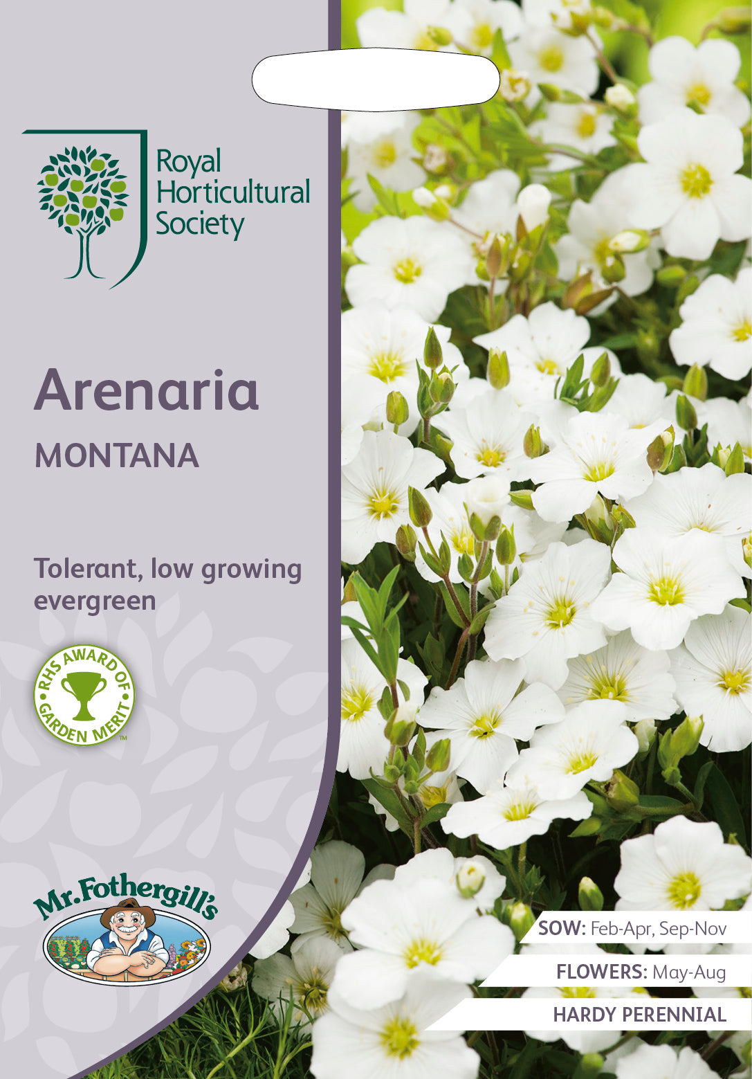 Arenaria Montana - Mr. Fothergill's Seeds RHS