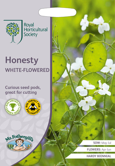 Honesty White-Flowered - Mr. Fothergill's Seeds RHS