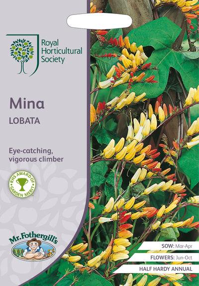 Mina Lobata - Mr. Fothergill's Seeds RHS