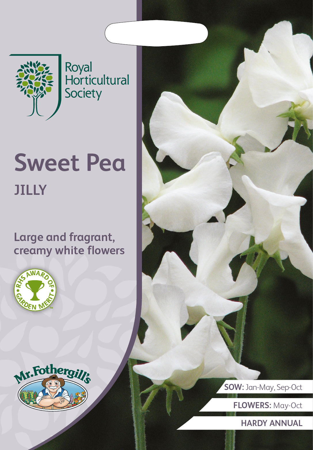 Sweet Pea Jilly - Mr. Fothergill's Seeds RHS