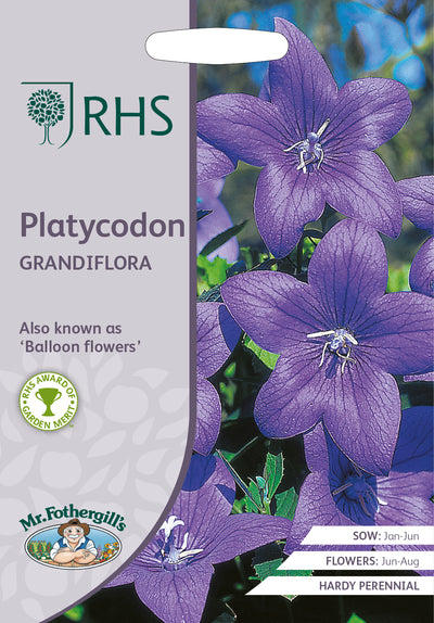 Platycodon Grandiflora - Mr. Fothergill's Seeds RHS