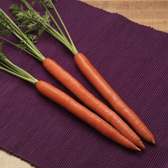 Carrot Triton Hybrid - Ontario Seed Company