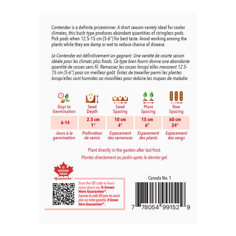 Bean Contender (Bush) - McKenzie Seeds
