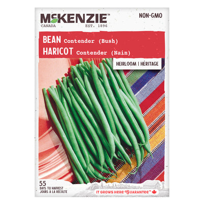 Bean Contender (Bush) - McKenzie Seeds