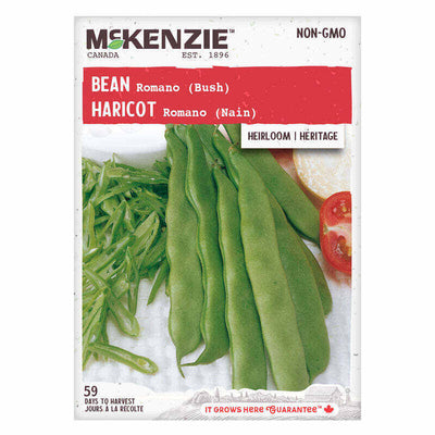 Bean Romano Bush - McKenzie Seeds