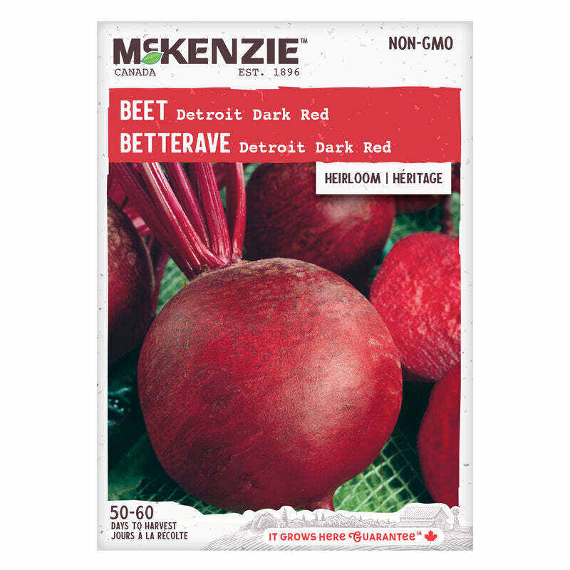 Beet Detroit Dark Red - McKenzie Seeds