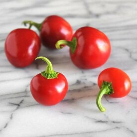 Pepper Red Cherry Hot - Ontario Seed Company