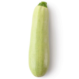 Squash Vegetable Marrow - Ontario Seed Company