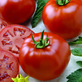 Tomato Better Boy Hybrid VFN - Ontario Seed Company