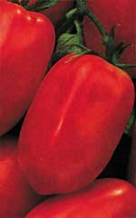 Tomato Roma VF - Ontario Seed Company