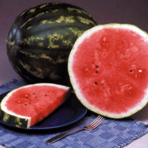 Watermelon Crimson Sweet - Ontario Seed Company