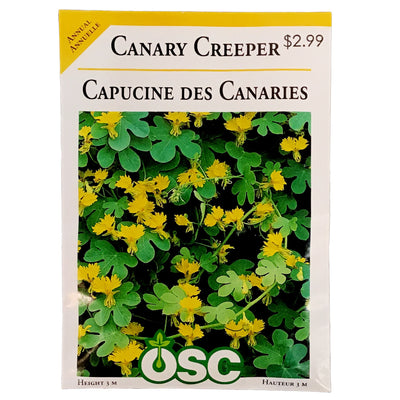 Canary Creeper - Ontario Seed Company