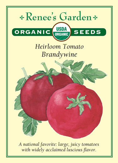 Organic Tomato Brandywine - Renee's Garden