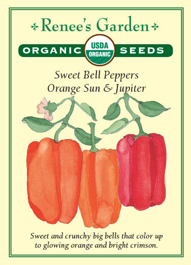 Organic Pepper Orange Sun & Jupiter - Renee's Garden