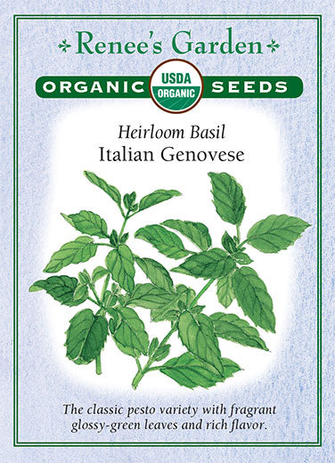 Organic Basil Italian Genovese - Renee's Garden