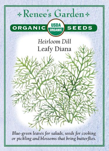 Organic Dill Leafy Diana - Renee's Garden