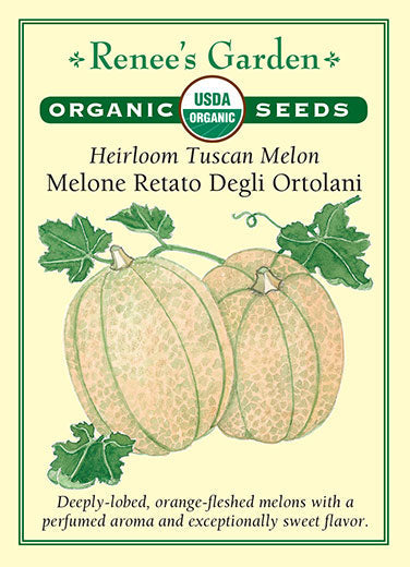 Organic Melon Melone Retato Degli Ortolani - Renee's Garden