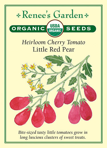 Organic Tomato Little Red Pear - Renee's Garden