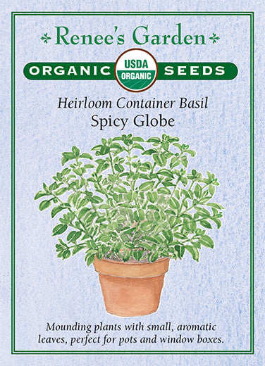 Organic Basil Spicy Globe - Renee's Garden