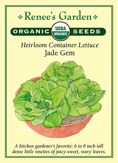 Organic Lettuce Jade Gem - Renee's Garden
